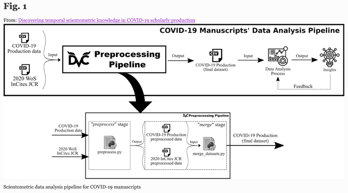 DVC in Scientometric Covid Research